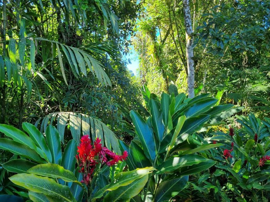 Casa de férias Casa Bela Prumirim