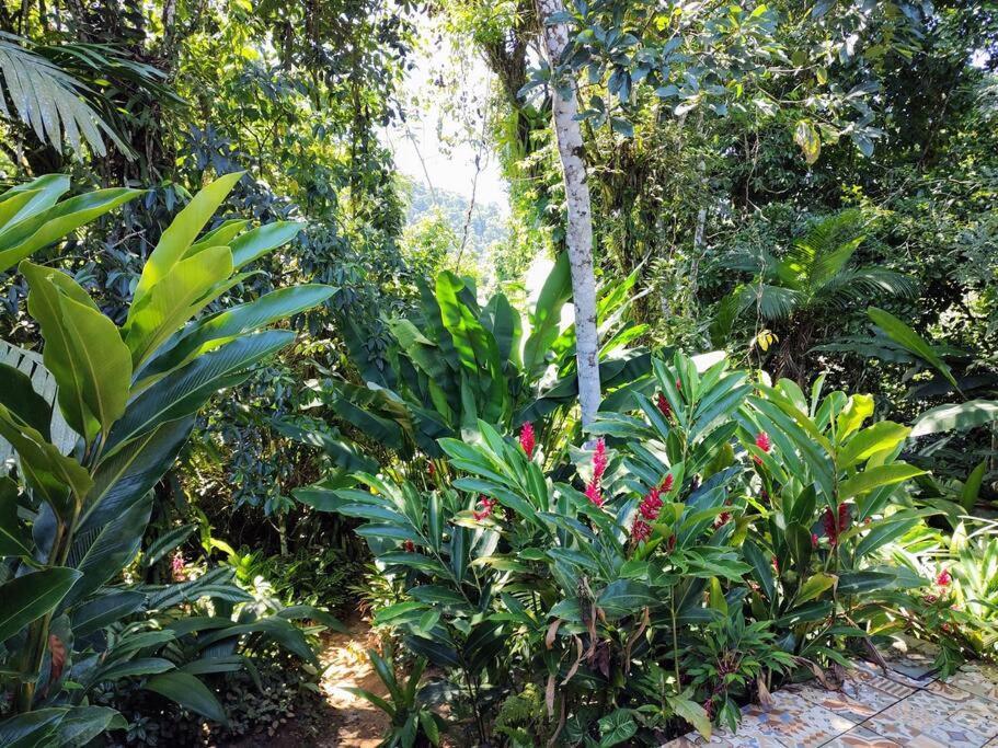 Casa de férias Casa Bela Prumirim